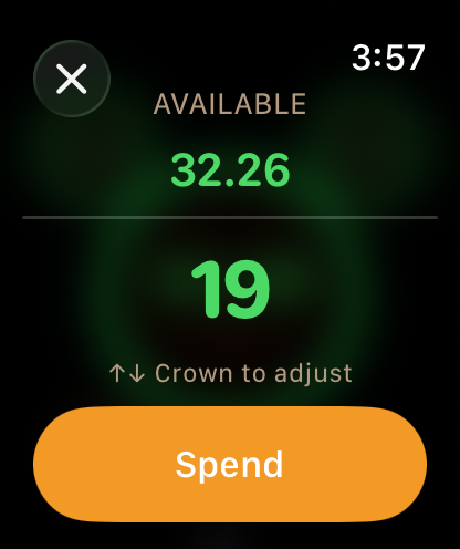 Spendah Apple Watch budget display